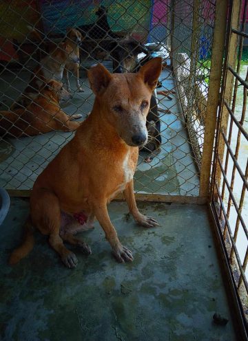 WhatsApp Image 2023-11-11 at 22.15.07_40be2fe5