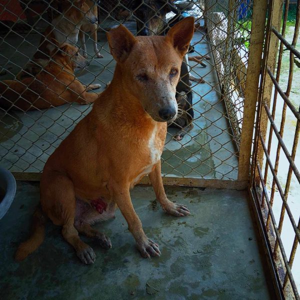 WhatsApp Image 2023-11-11 at 22.15.07_40be2fe5